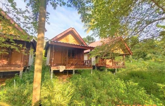 ��º�ҹ ����ѹ�ҡ�к��