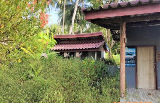 ��º�ҹ ����ѹ�ҡ�к��