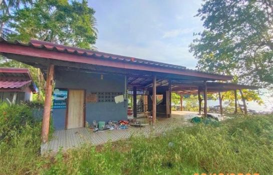 ��º�ҹ ����ѹ�ҡ�к��