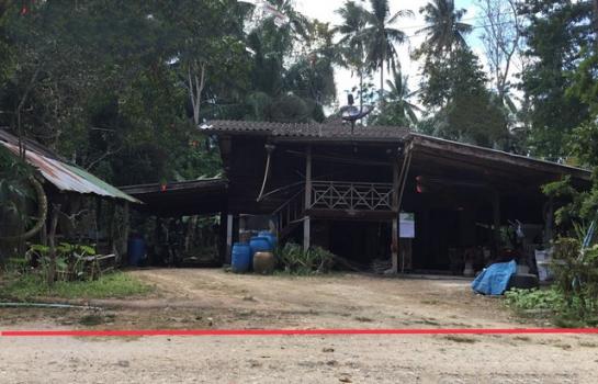 ��ҹ ����ѹ�� ��к��