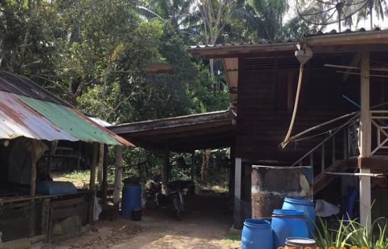 ��º�ҹ ����ѹ�ҡ�к��