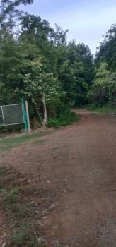 �Ҫ���� �� sopa