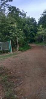 ��·��Թ �Ҥһ�С�Ȣ�� 1,250,000 �ҷ