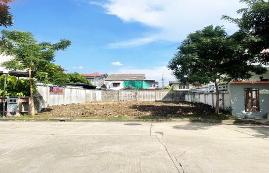 ��»����� �� Perfect Property1