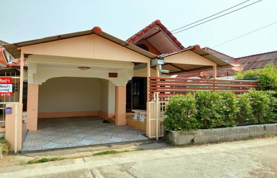 �ҧ�� �� �Ң�ѭ �Ź�����