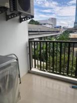 �͹� ���⢹� 36 ���ҧ����