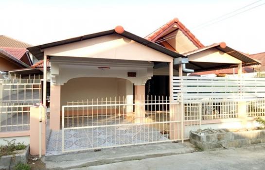 �ҧ�� �� �Ң�ѭ �Ź�����