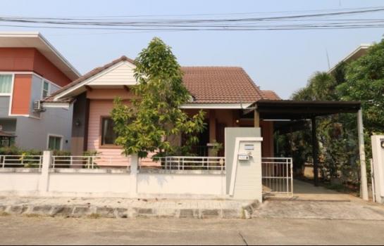 �Ң�ѭ �Ź�����