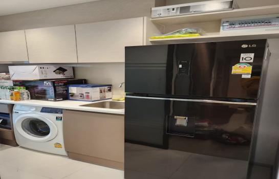 �͹�����ͧ�ٴ��ѹ ������