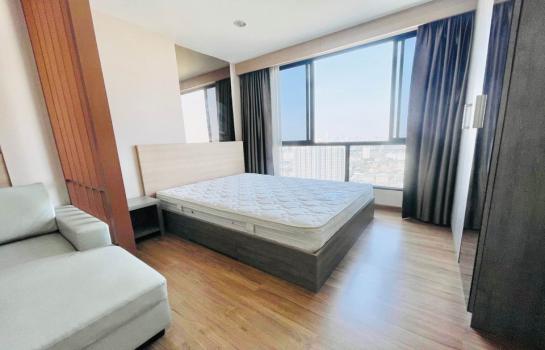 �͹��������� �ҧ����