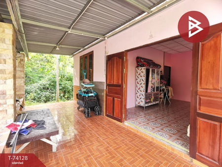 ��ҹ����͡��������鹷ҧ ��ط�ʧ����