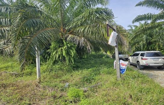 ��·��Թ 31.5 ���