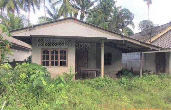 ��к�� �� compos2566