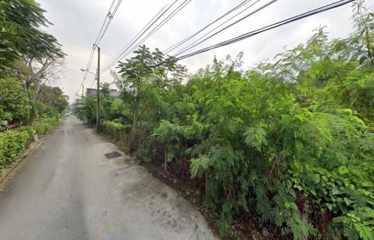 ��بѡ� �� HarrisonTH