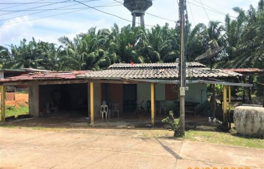 ����� �� panaya.opalopal