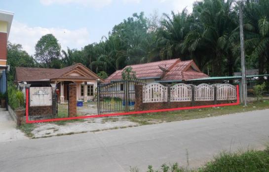 ��к�� �� compos2566