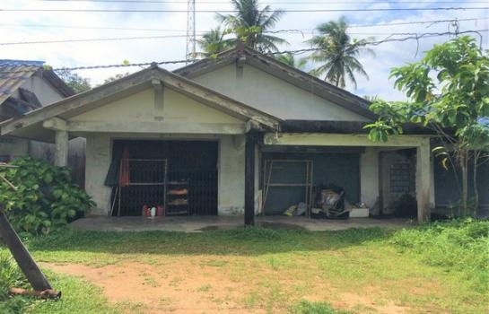 ��к�� �� panaya.opalopal