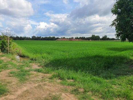 �����к��� �� Estate Corner