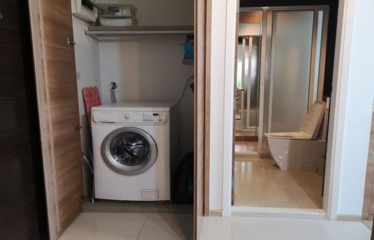 �͹�  ����