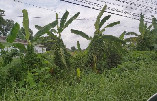 ��·��Թ 31.5 ���