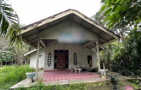 ��� �� compos2566