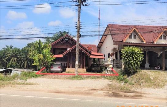 ��� �� compos2566