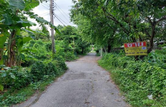 �� �� zionasset1