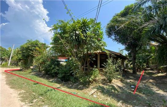 ��º�ҹ ����ѹ�ҡ�к��