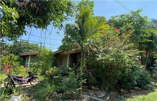 ��º�ҹ ����ѹ�ҡ�к��