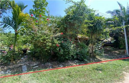 ��º�ҹ ����ѹ�ҡ�к��