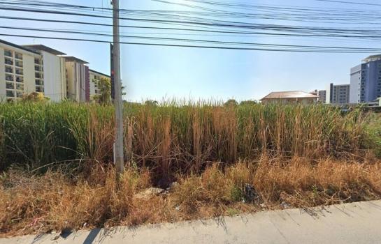 ��»����ҹ� �� HarrisonTH