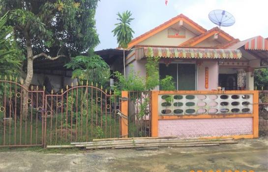 ��к�� �� compos2566