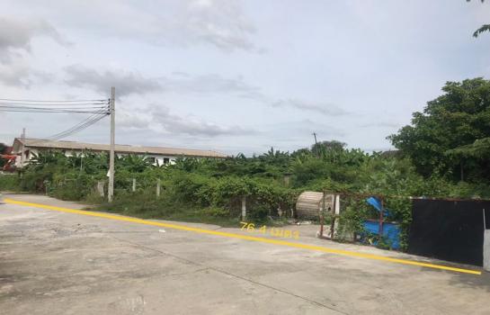 �ҧ�л� �� zionasset1