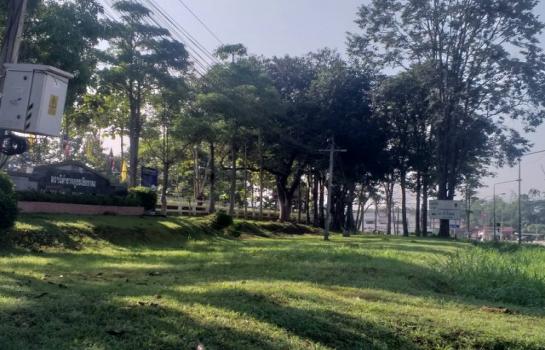 ������ �� pazarestate1