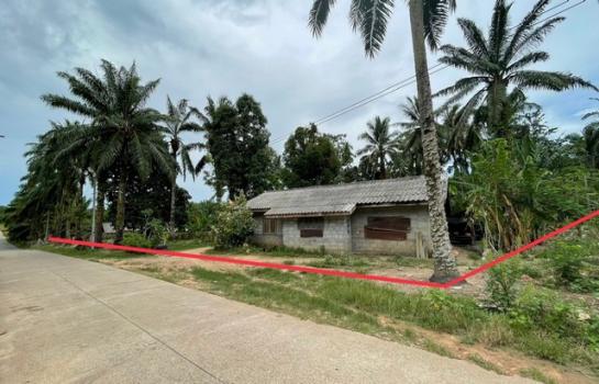 ��к�� �� compos2566