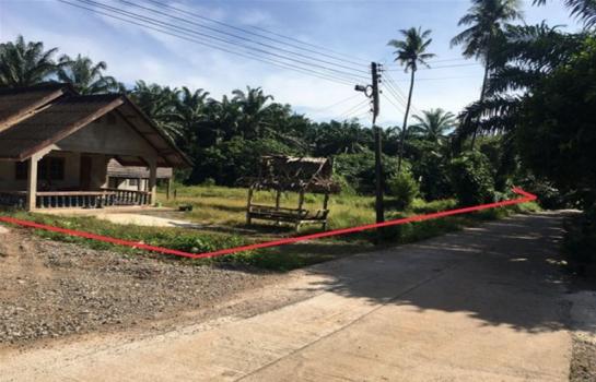 ��к�� �� panaya.opalopal