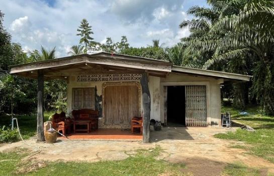 ��к�� �� panaya.opalopal