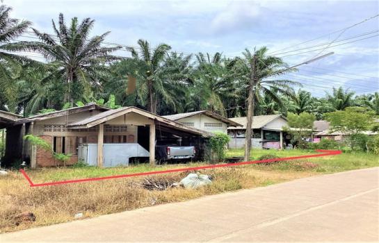 ��ҹ��к�� 115.40 ���ҧ��