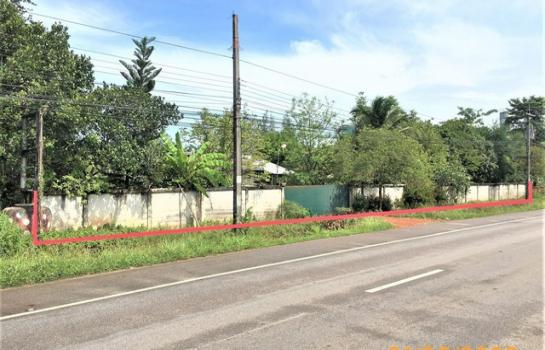 ��к�� �� panaya.opalopal