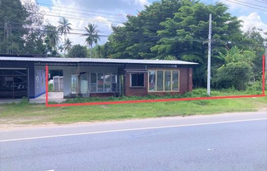 ��ҹ��к�� �� panaya.opalopal