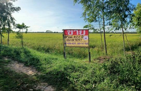 ��������� �� zionasset1