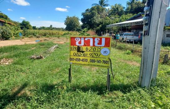 ��������� �� zionasset1