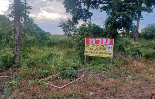 �Ѵ�ʶ� �� zionasset1