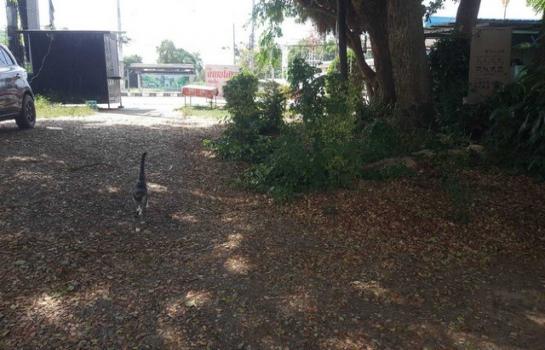 �� �� zionasset1