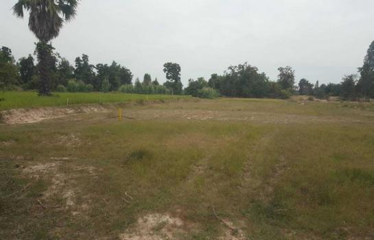 �ҭ������ �� zionasset1