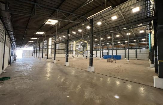 �ҧ� �� Kong property