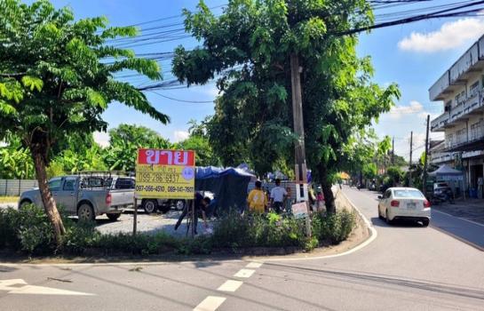 ��ا෾ �� zionasset1