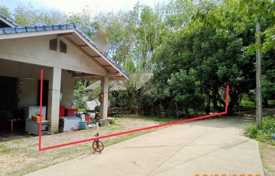 ��к�� �� panaya.opalopal