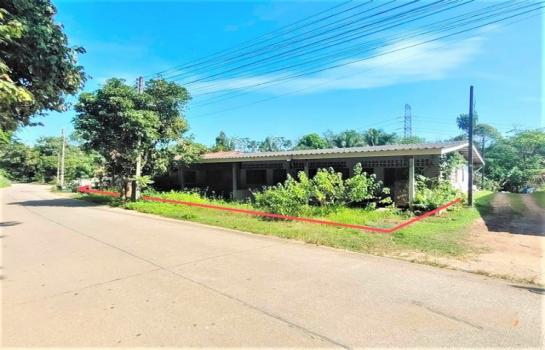 ��к�� �� compos2566