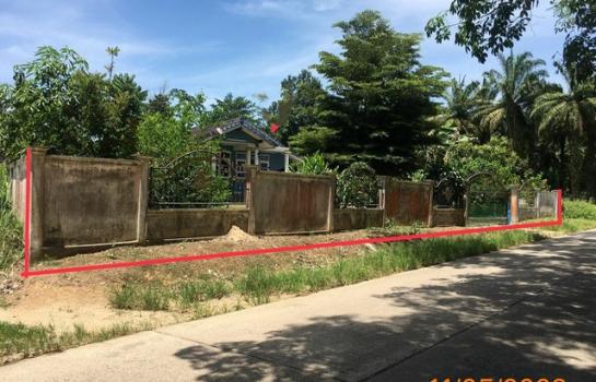 ��к�� �� panaya.opalopal